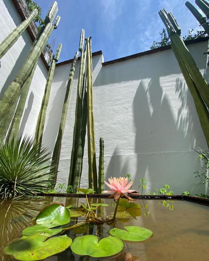 Casa Mayo B&B Oaxaca Zewnętrze zdjęcie