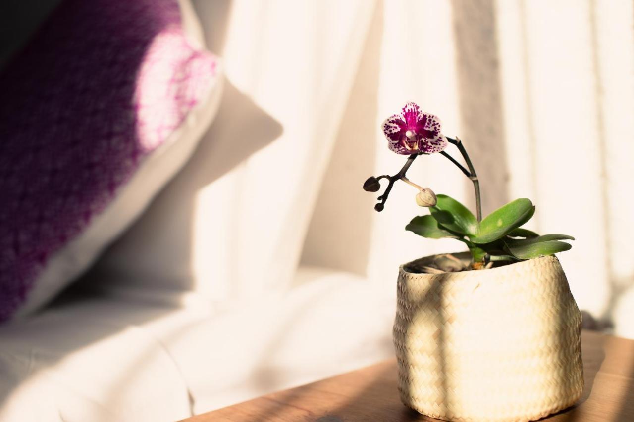 Casa Mayo B&B Oaxaca Zewnętrze zdjęcie