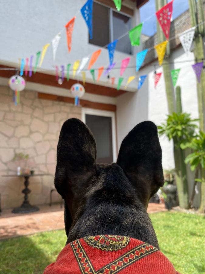 Casa Mayo B&B Oaxaca Zewnętrze zdjęcie